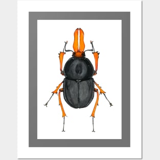 Orange & Black bug Posters and Art